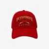 Harry Potter Gryffindor Alumni Cap - BoxLunch Exclusive