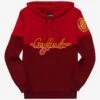 Harry Potter Gryffindor Crest Panel Hoodie - BoxLunch Exclusive